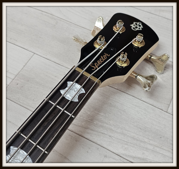 Spector Icon NS-2 Bolt-On, White Gloss